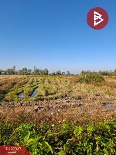 ขายที่ดิน เนื้อที่ 9 ไร่ 1 งาน 73 ตร.วา เทิง เชียงราย-202512021349151764658155068.jpg