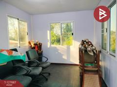 ขายด่วนบ้านเดี่ยวพร้อมที่ดิน เนื้อที่ 2 ไร่ ซอยโรงช้อน บึงบา หนองเสือ ปทุมธานี-202512021409381764659378684.jpg