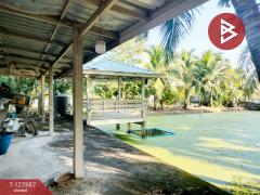 ขายด่วนบ้านเดี่ยวพร้อมที่ดิน เนื้อที่ 2 ไร่ ซอยโรงช้อน บึงบา หนองเสือ ปทุมธานี-202512021409401764659380983.jpg