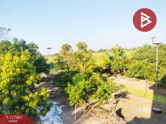 ขายด่วนบ้านเดี่ยวพร้อมที่ดิน เนื้อที่ 2 ไร่ ซอยโรงช้อน บึงบา หนองเสือ ปทุมธานี-202512021409421764659382435.jpg