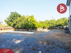 ขายด่วนบ้านเดี่ยวพร้อมที่ดิน เนื้อที่ 2 ไร่ ซอยโรงช้อน บึงบา หนองเสือ ปทุมธานี-202512021409431764659383546.jpg