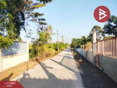 ขายด่วนบ้านเดี่ยวพร้อมที่ดิน เนื้อที่ 2 ไร่ ซอยโรงช้อน บึงบา หนองเสือ ปทุมธานี-202512021409441764659384678.jpg