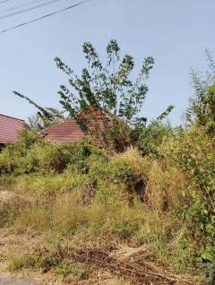 ขายถูก ที่ดิน+บ้านยังสร้างไม่เสร็จ พื้นที่ 64.10 ตรว. หมู่บ้านกรีน วัลเล่ย์ ลากูน นครนายก