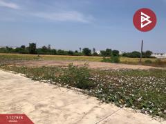 ขายด่วนที่ดินแปลงสวย เนื้อที่ 116.8 ตารางวา ซอยพิมลราช บางบัวทอง นนทบุรี-202512021418141764659894170.jpg