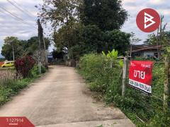 ขายที่ดิน เนื้อที่ 3 งาน 66 ตร.วา ป่าอ้อดอนชัย เชียงราย-202512021421171764660077940.jpg