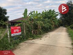 ขายที่ดิน เนื้อที่ 3 งาน 66 ตร.วา ป่าอ้อดอนชัย เชียงราย-202512021421181764660078579.jpg