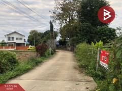 ขายที่ดิน เนื้อที่ 3 งาน 66 ตร.วา ป่าอ้อดอนชัย เชียงราย-202512021421191764660079187.jpg