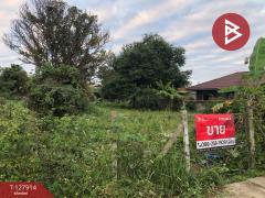 ขายที่ดิน เนื้อที่ 3 งาน 66 ตร.วา ป่าอ้อดอนชัย เชียงราย-202512021421191764660079815.jpg