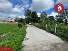 ขายที่ดิน เนื้อที่ 3 งาน 66 ตร.วา ป่าอ้อดอนชัย เชียงราย-202512021421201764660080390.jpg