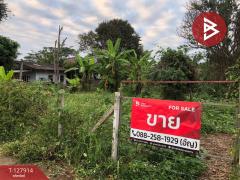 ขายที่ดิน เนื้อที่ 3 งาน 66 ตร.วา ป่าอ้อดอนชัย เชียงราย-202512021421221764660082654.jpg