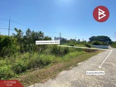  ขายที่ดินสวนผลไม้ เนื้อที่ 2 งาน อ.ท่าเรือ พระนครศรีอยุธยา-202512021423001764660180476.jpg