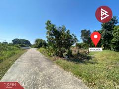  ขายที่ดินสวนผลไม้ เนื้อที่ 2 งาน อ.ท่าเรือ พระนครศรีอยุธยา-202512021423011764660181059.jpg