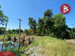  ขายที่ดินสวนผลไม้ เนื้อที่ 2 งาน อ.ท่าเรือ พระนครศรีอยุธยา-202512021423011764660181645.jpg