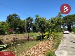  ขายที่ดินสวนผลไม้ เนื้อที่ 2 งาน อ.ท่าเรือ พระนครศรีอยุธยา-202512021423021764660182227.jpg