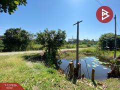  ขายที่ดินสวนผลไม้ เนื้อที่ 2 งาน อ.ท่าเรือ พระนครศรีอยุธยา-202512021423021764660182798.jpg