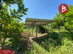  ขายที่ดินสวนผลไม้ เนื้อที่ 2 งาน อ.ท่าเรือ พระนครศรีอยุธยา-202512021423041764660184042.jpg