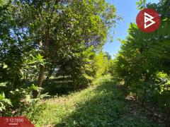  ขายที่ดินสวนผลไม้ เนื้อที่ 2 งาน อ.ท่าเรือ พระนครศรีอยุธยา-202512021423051764660185218.jpg