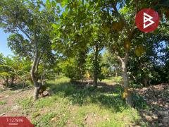  ขายที่ดินสวนผลไม้ เนื้อที่ 2 งาน อ.ท่าเรือ พระนครศรีอยุธยา-202512021423061764660186970.jpg