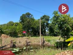  ขายที่ดินสวนผลไม้ เนื้อที่ 2 งาน อ.ท่าเรือ พระนครศรีอยุธยา-202512021423071764660187554.jpg