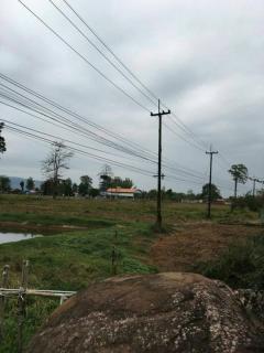 ขายที่ดินด่วนๆ ลดราคาอีกแล้ว 15 ไร่ ต.ไคสี เมืองบึงกาฬ อยู่ติด ถ.ชยางกูร และใกล้แหล่งท่องเที่ยว ติดทางเข้าวัดอาฮงศิลาวาส โทร 0632897879-202512021429291764660569542.jpg