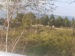 ขายที่ดินด่วนๆ ลดราคาอีกแล้ว 15 ไร่ ต.ไคสี เมืองบึงกาฬ อยู่ติด ถ.ชยางกูร และใกล้แหล่งท่องเที่ยว ติดทางเข้าวัดอาฮงศิลาวาส โทร 0632897879-202512021429341764660574359.jpg