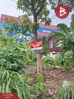 ขายที่ดิน-เนื้อที่-50-ตารางวา-บางพลี-ส