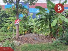 ขายที่ดิน เนื้อที่ 50 ตารางวา บางพลี สมุทรปราการ-202512021433161764660796493.jpg