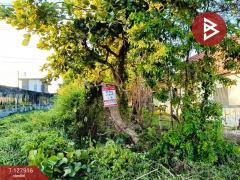 ขายที่ดิน เนื้อที่ 1 ไร่ 1 งาน 65 ตารางวา ต.นาดี อ.เมืองสุรินทร์ จ.สุรินทร์