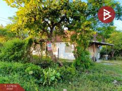 ขายที่ดิน เนื้อที่ 1 ไร่ 1 งาน 65 ตารางวา ต.นาดี อ.เมืองสุรินทร์ จ.สุรินทร์-202512021434321764660872008.jpg