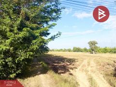 ขายที่ดิน เนื้อที่ 4 ไร่ 3 งาน 10 ตร.วา นาดี สุรินทร์