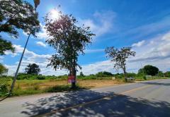 ขายที่ดิน ตำบลคู้ยายหมี อำเภอสนามชัยเขต ฉะเชิงเทรา ตรงข้ามเทศบาลสนามชัยเขต-202512021450501764661850623.jpg