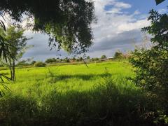 ขายที่ดินพร้อมสิ่งปลูกสร้าง สันกำแพง เชียงใหม่