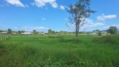 ขายที่ดินพร้อมสิ่งปลูกสร้าง สันกำแพง เชียงใหม่-202512021506101764662770750.jpg