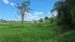 ขายที่ดินพร้อมสิ่งปลูกสร้าง สันกำแพง เชียงใหม่-202512021506111764662771440.jpg