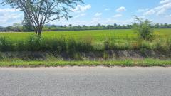 ขายที่ดินพร้อมสิ่งปลูกสร้าง สันกำแพง เชียงใหม่-202512021506121764662772049.jpg