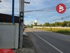 ขายทาวน์เฮ้าส์ 2 ชั้น เนื้อที่ 24.4 ตร.วา เกาะขวาง จันทบุรี-202512021511431764663103332.jpg