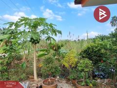 ขายบ้านเดี่ยวพร้อมเนื้อที่ 201 ตารางวา ต.บางจาก นครศรีธรรมราช ทำเลดีติดถนน-202512021514021764663242031.jpg