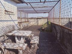 ขายตึก 4 ชั้น โครงการแลนด์ แอนด์ แฟคทอรี่เฮ้าส์ ซอยเพชรเกษม 95-202512021526001764663960185.jpg