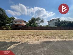 ขายที่ดินถมแล้ว 50.1 ตารางวา เมืองนครปฐม-202512021529301764664170494.jpg