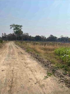 ขายที่ดิน 15 ไร่ ทำเลดี ติดกองบิน 4 ตาคลี เข้า ออกสะดวก น้ำไม่ท่วม