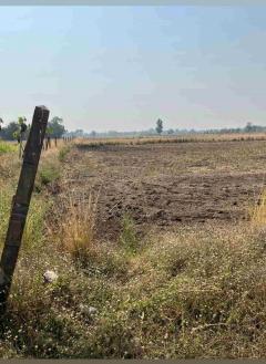 ขายที่ดิน 15 ไร่ ทำเลดี ติดกองบิน 4 ตาคลี เข้า ออกสะดวก น้ำไม่ท่วม-202512021631491764667909501.jpg