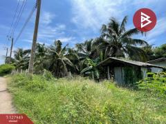 ขายที่ดินสวนมะพร้าวพร้อมบ้าน เนื้อที่33 ไร่ 1 งาน 20 ตร.วา อ.นครชัยศรี นครปฐม-202512021635241764668124439.jpg