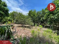 ขายที่ดินสวนมะพร้าวพร้อมบ้าน เนื้อที่33 ไร่ 1 งาน 20 ตร.วา อ.นครชัยศรี นครปฐม-202512021635251764668125055.jpg