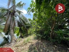 ขายที่ดินสวนมะพร้าวพร้อมบ้าน เนื้อที่33 ไร่ 1 งาน 20 ตร.วา อ.นครชัยศรี นครปฐม-202512021635281764668128634.jpg