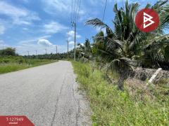 ขายที่ดินสวนมะพร้าวพร้อมบ้าน เนื้อที่33 ไร่ 1 งาน 20 ตร.วา อ.นครชัยศรี นครปฐม-202512021635291764668129242.jpg