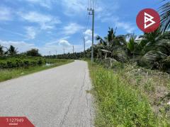 ขายที่ดินสวนมะพร้าวพร้อมบ้าน เนื้อที่33 ไร่ 1 งาน 20 ตร.วา อ.นครชัยศรี นครปฐม-202512021635291764668129830.jpg