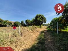 ขายที่ดิน เนื้อที่ 1 ไร่ 3.2 ตร.วา แปลงยาว ฉะเชิงเทรา-202512021639541764668394897.jpg