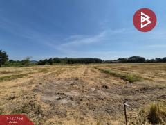 ขายที่ดิน เนื้อที่ 1 ไร่ 3.2 ตร.วา แปลงยาว ฉะเชิงเทรา-202512021639561764668396689.jpg