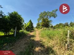 ขายที่ดิน เนื้อที่ 1 ไร่ 3.2 ตร.วา แปลงยาว ฉะเชิงเทรา-202512021639571764668397935.jpg