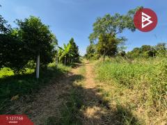 ขายที่ดิน เนื้อที่ 1 ไร่ 3.2 ตร.วา แปลงยาว ฉะเชิงเทรา-202512021639591764668399234.jpg